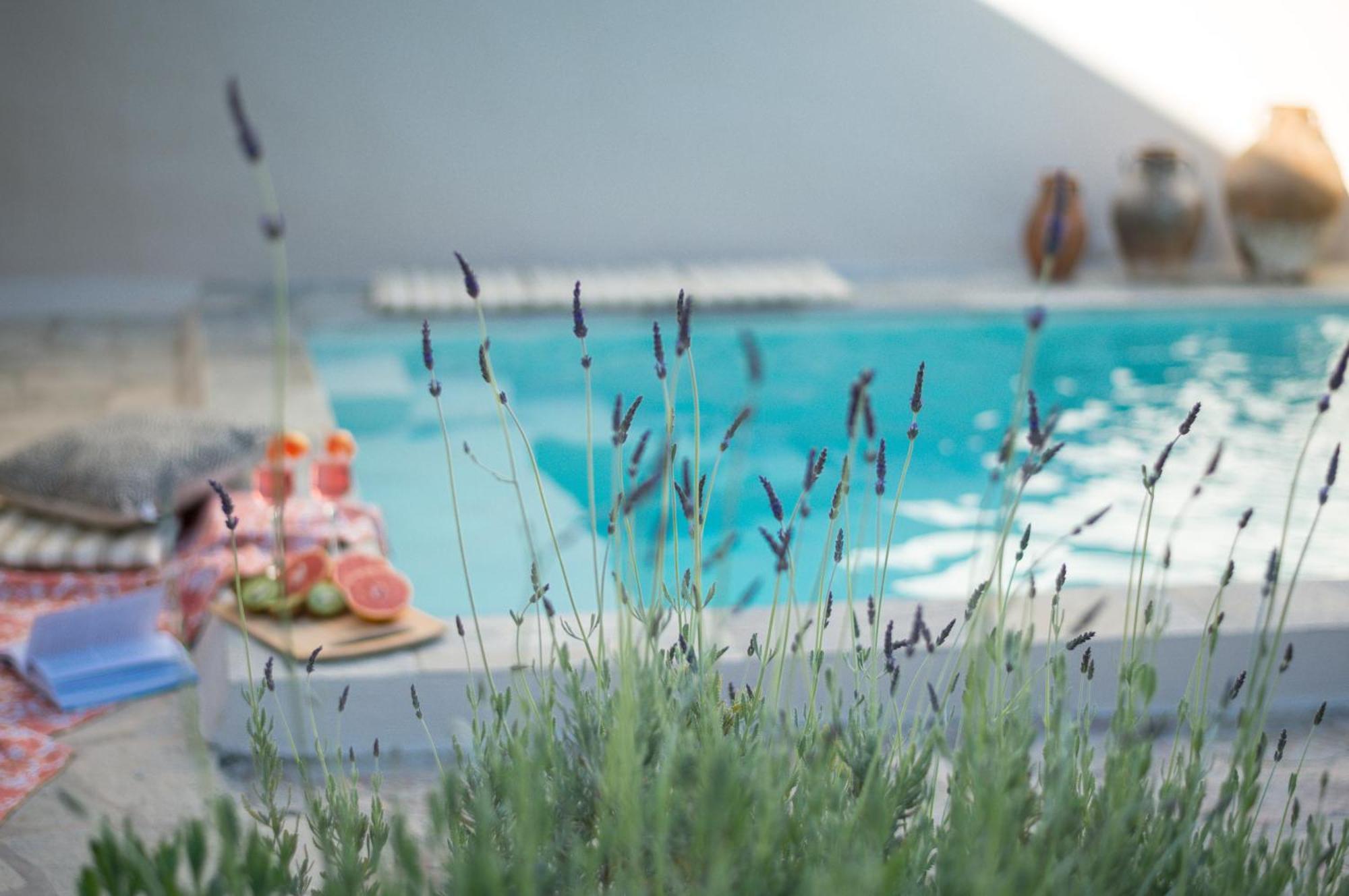 Anassa Mountain House * Embonas